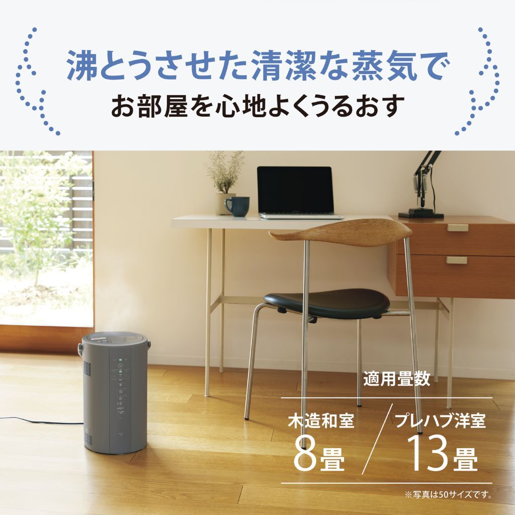 清潔な蒸気のスチーム式