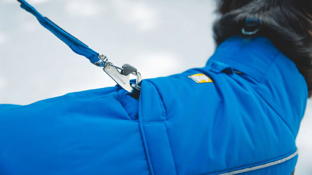 リーシュポータル