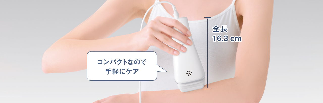 レンタル] パナソニック 光美容器 光エステ＜ボディ＆フェイス用
