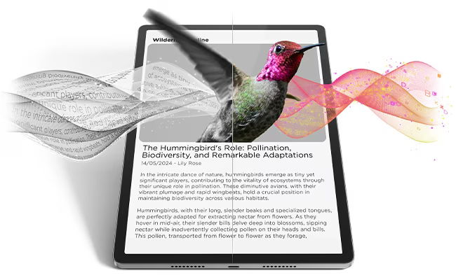 デジタルブック