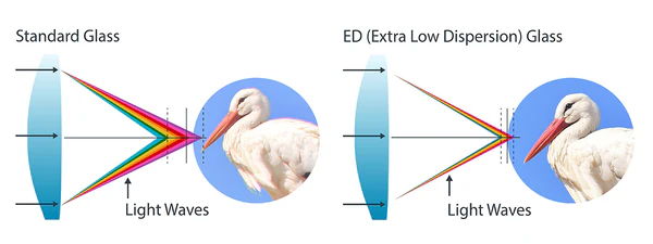 EDレンズ