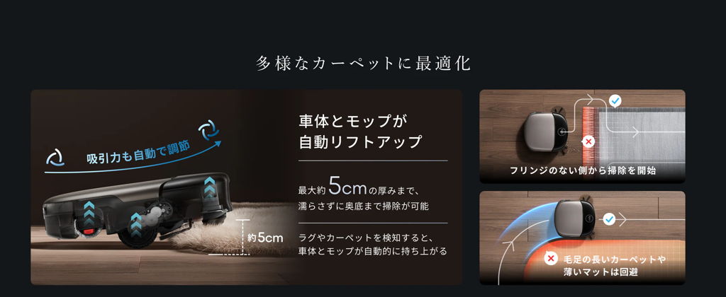 多様なカーペットに最適化