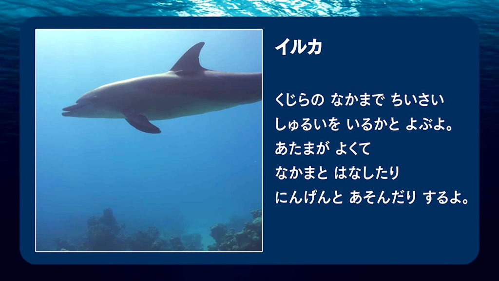 コンテンツ4
