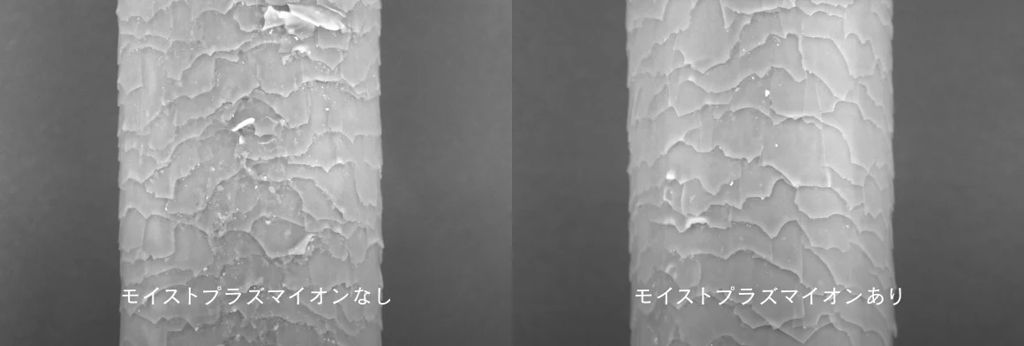 キューティクル比較