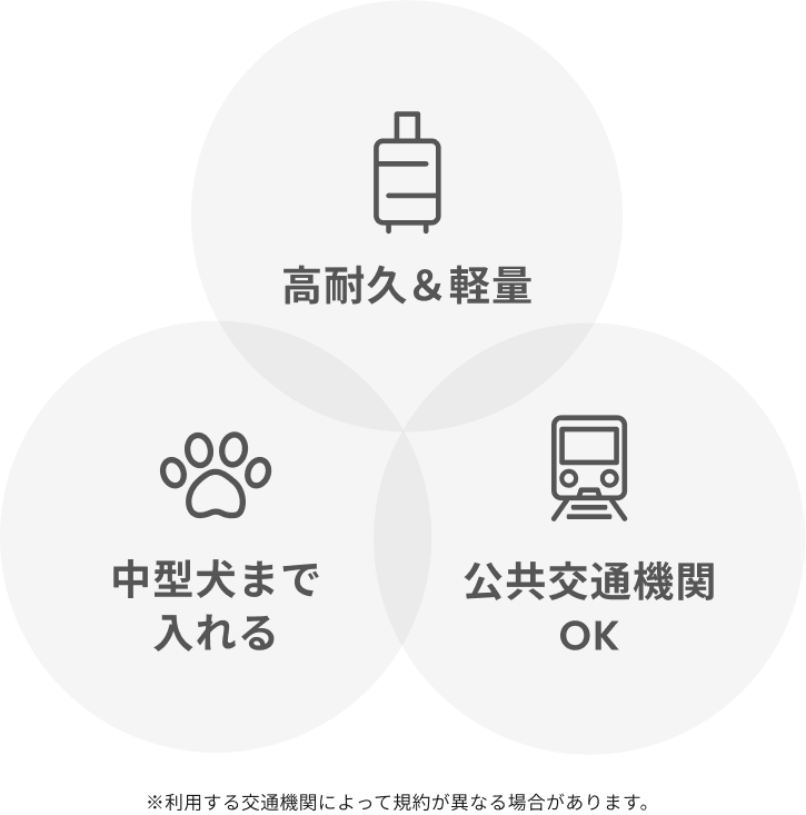 特徴