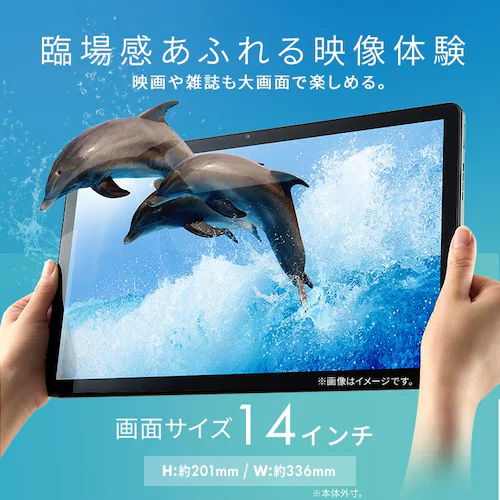 臨場感あふれる映像体験