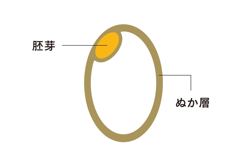 胚芽ド