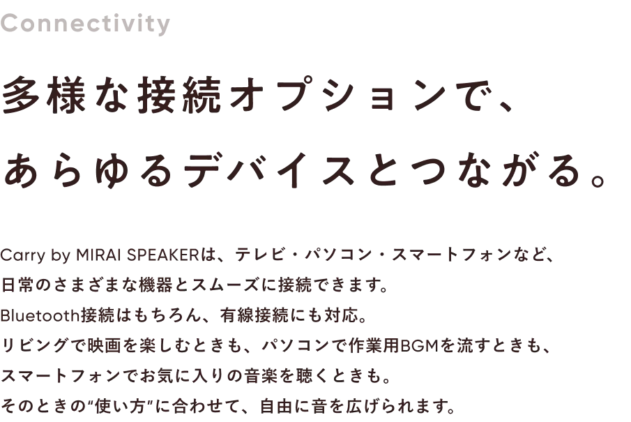 接続オプション