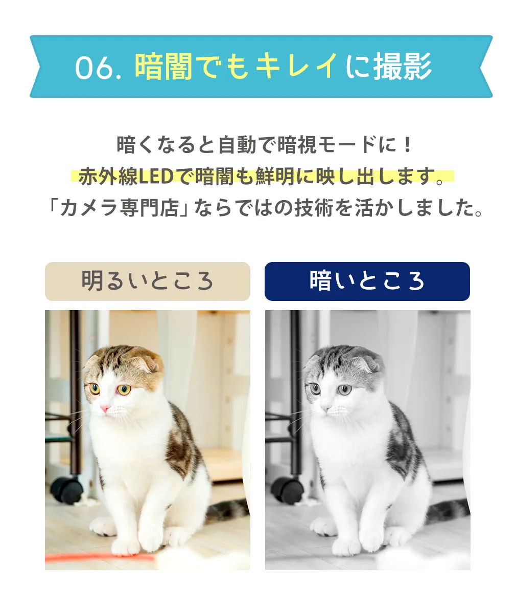 キレイに撮影