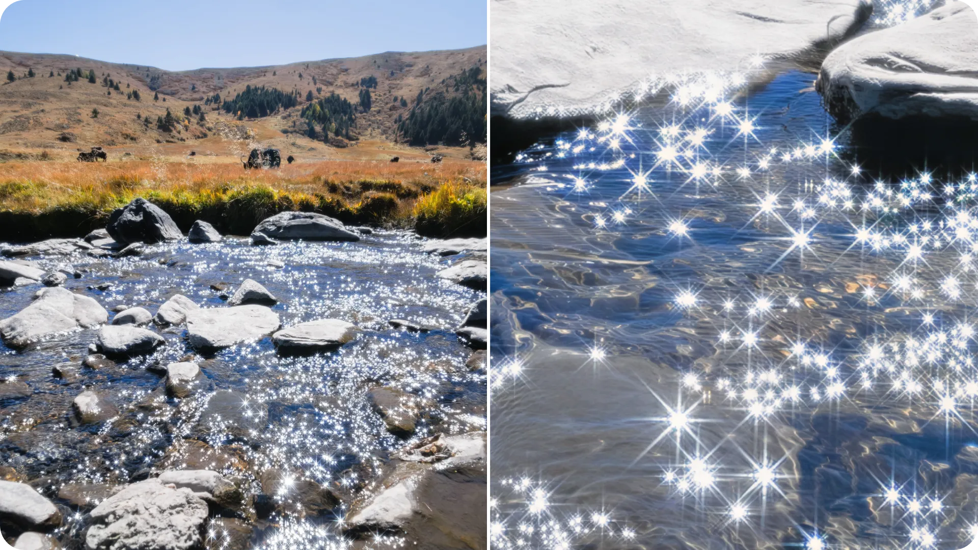 光が咲き誇る瞬間を捉える