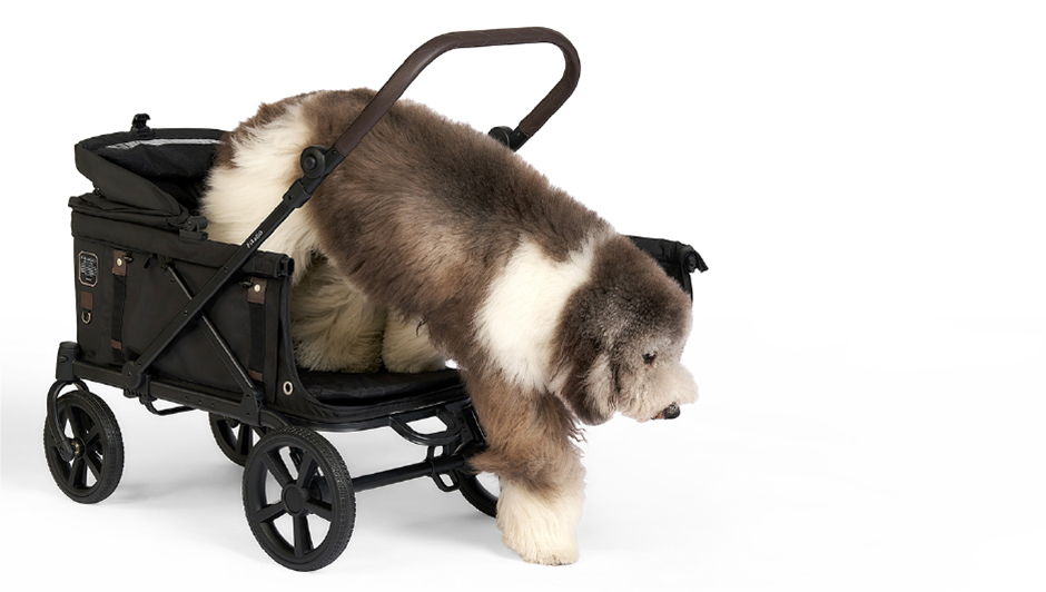 耐荷重100kg