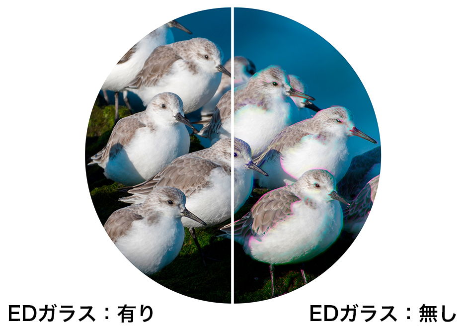 EDガラス採用