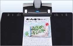 大切な思い出の絵や写真