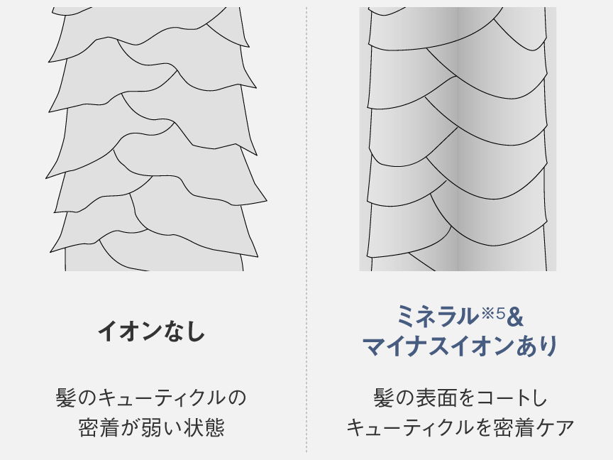 イオンありなし