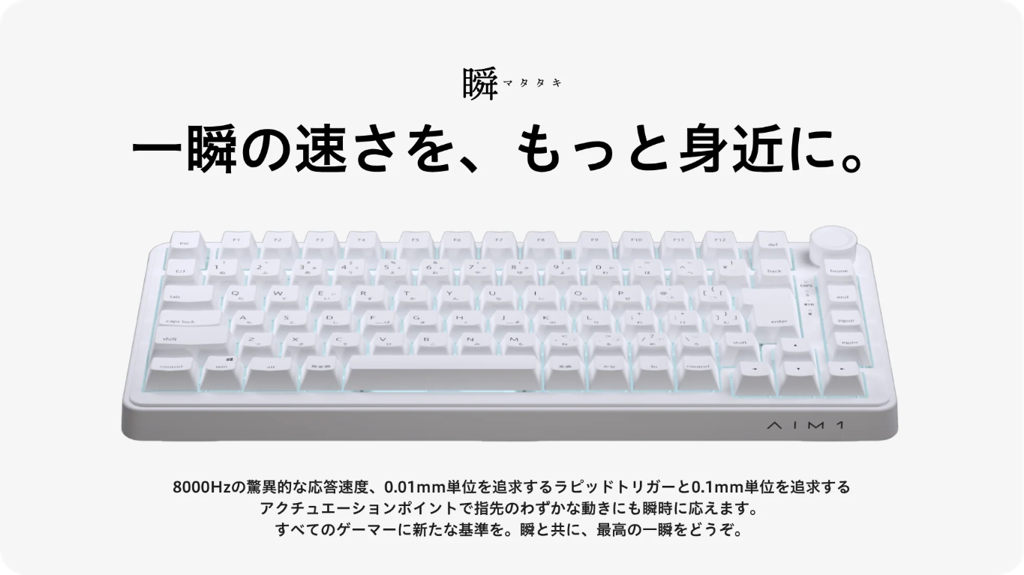 本体