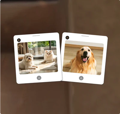 ペット探索 & ペットスナップ