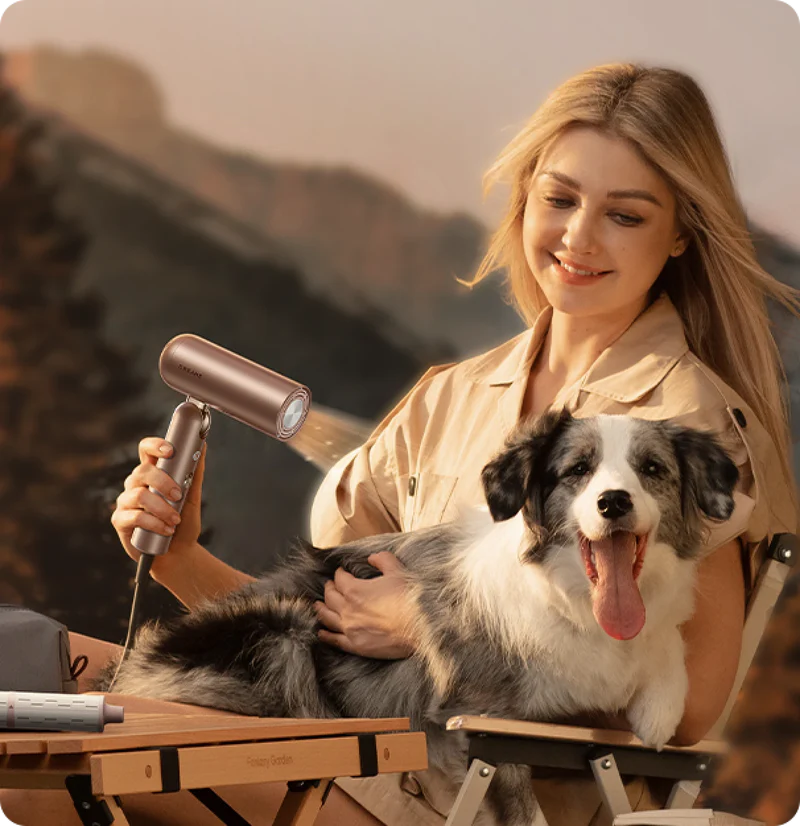 犬をドライ