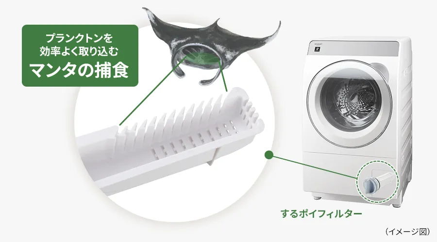 するポイフィルター