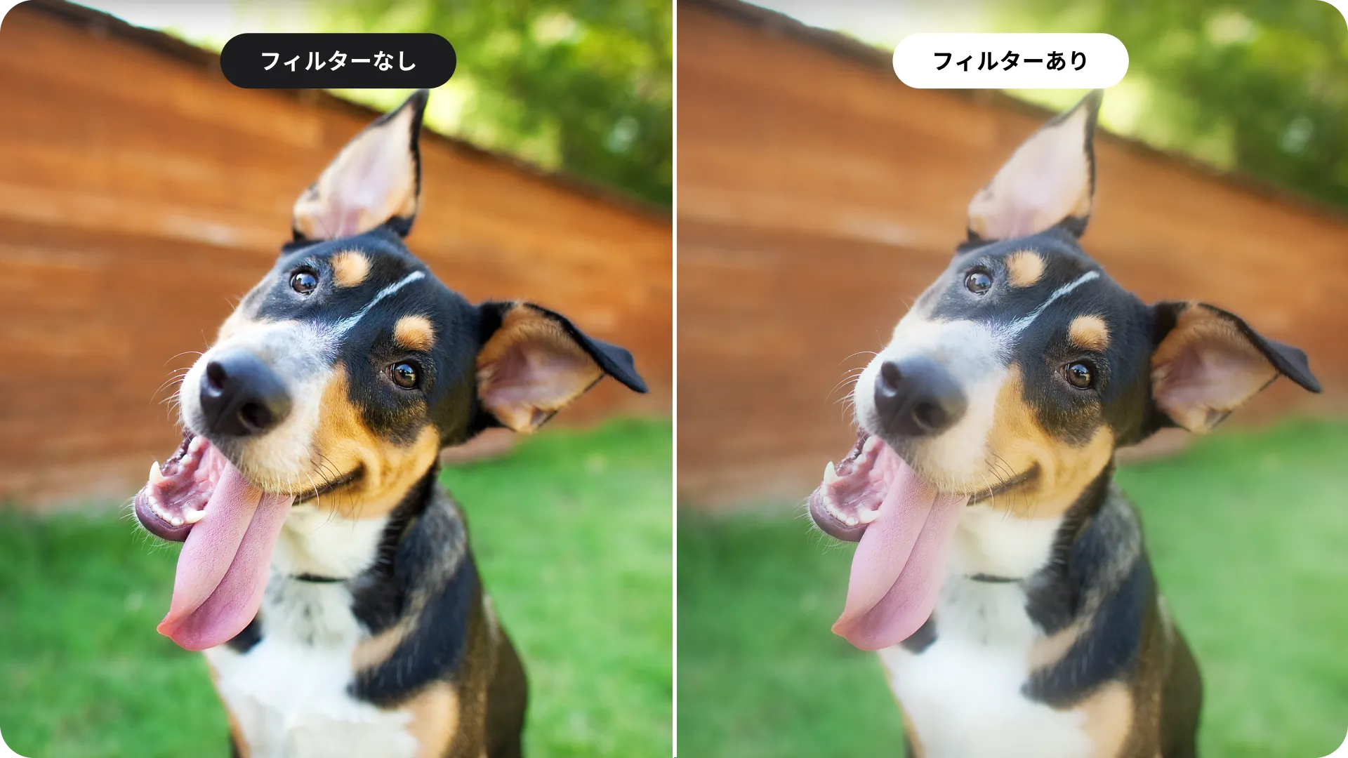 ブラックミストフィルター(2)