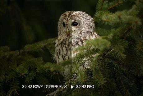 明るくクリアな視界