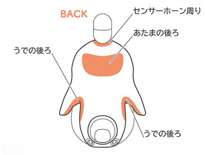 BACK