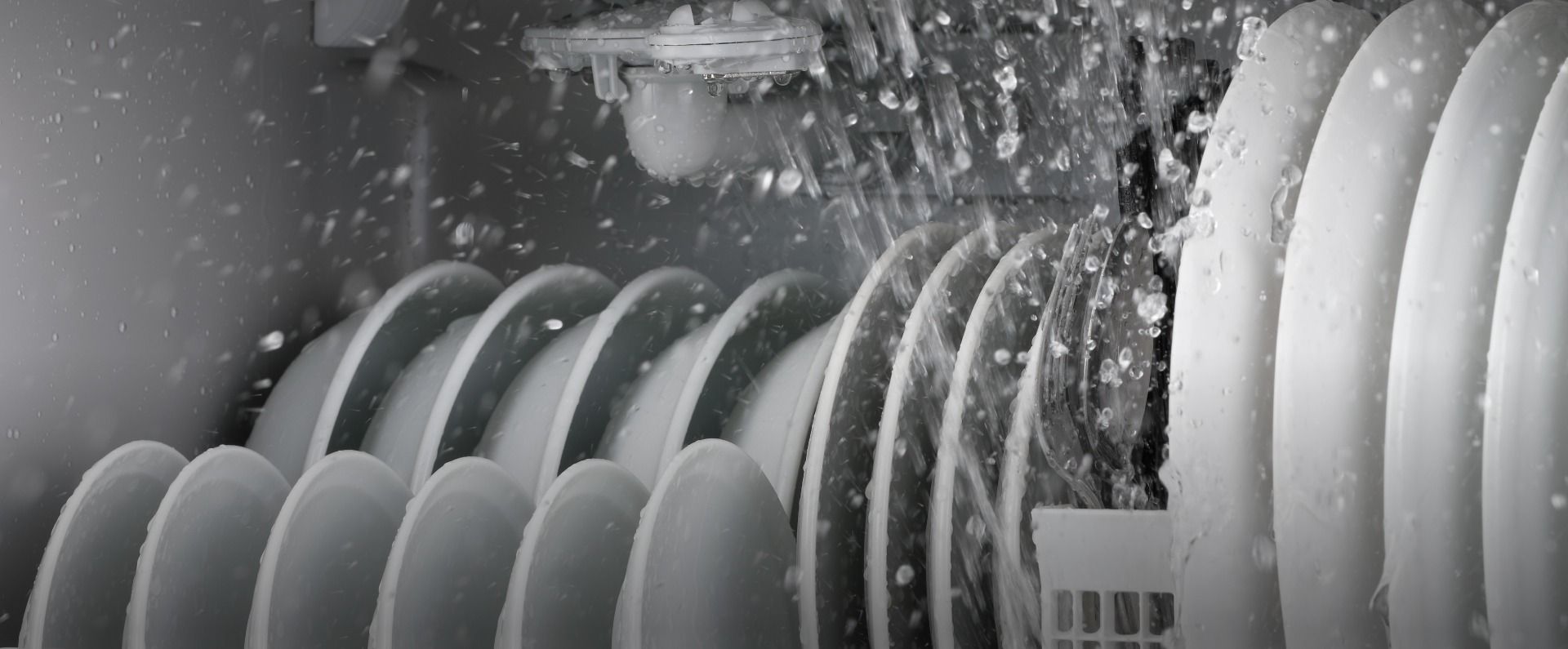 洗浄全コースで洗うと同時に食器を除菌