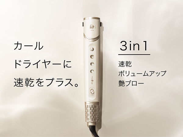 本体