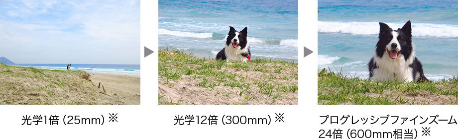 プログレッシブファインズーム