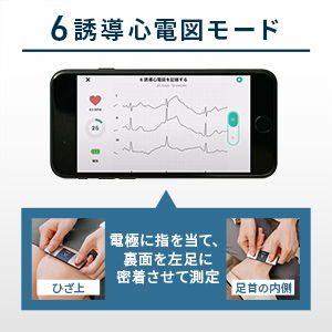 ６誘導心電図の場合