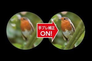 大きなブレにも対応