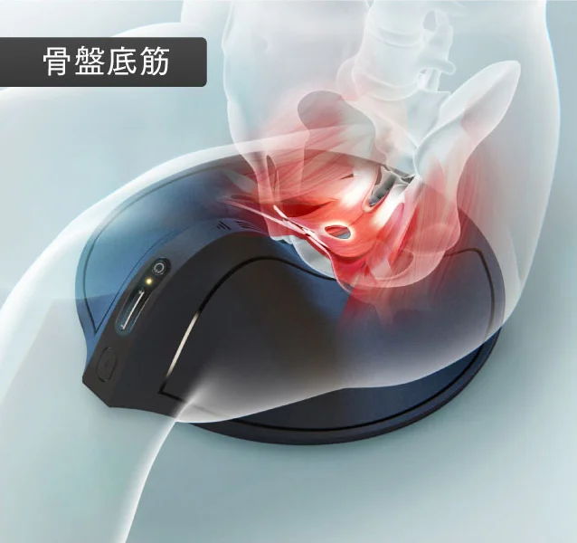 骨盤底筋