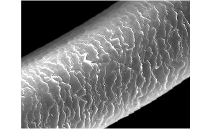 水蒸気爆発を受けていない髪