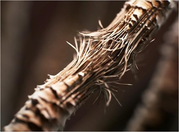 スタイリングによるダメージの蓄積