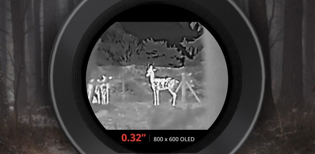 人気のエントリーモデルが進化