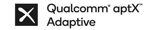 Adaptive Audio