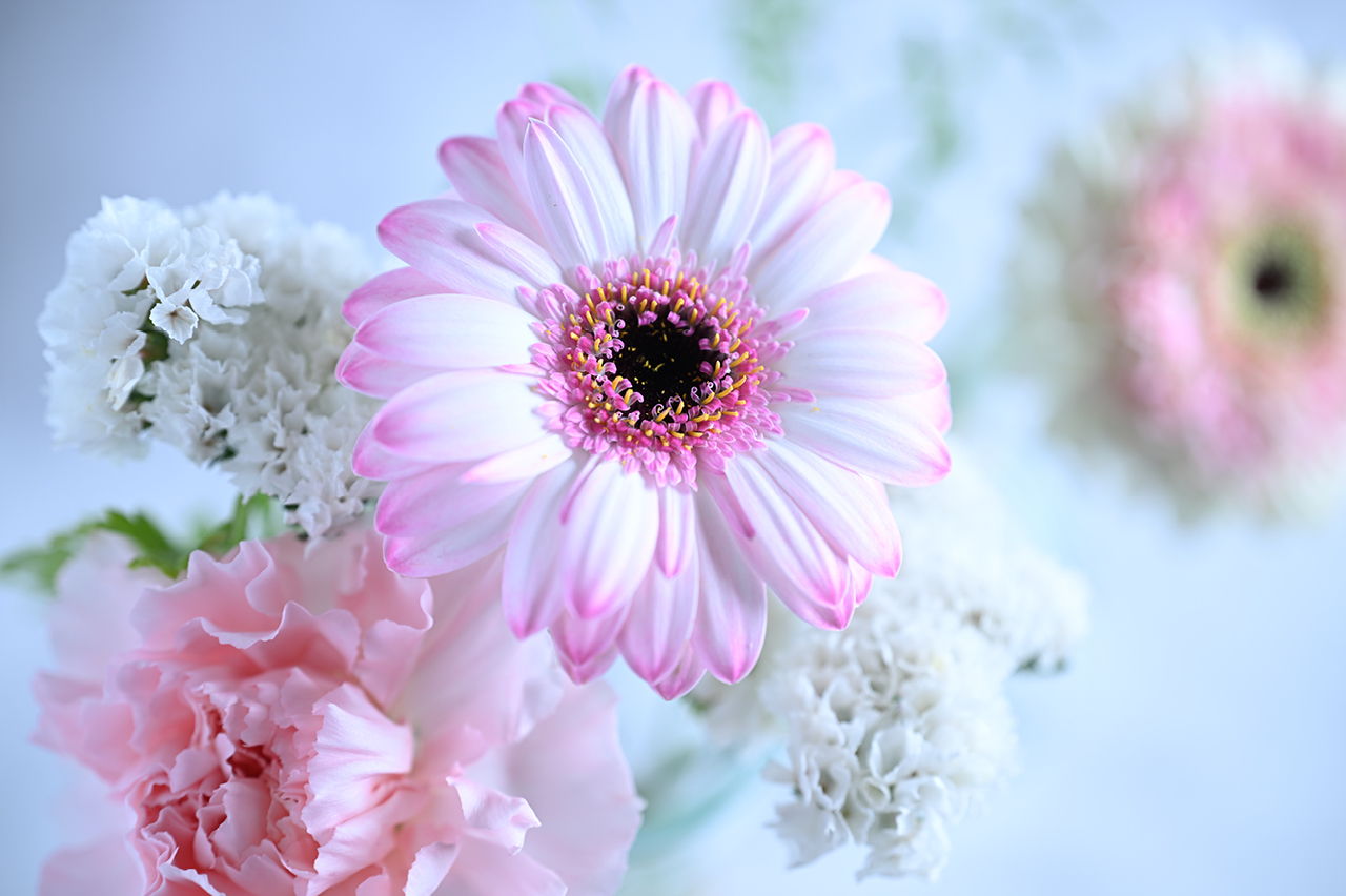 最短撮影距離で撮影