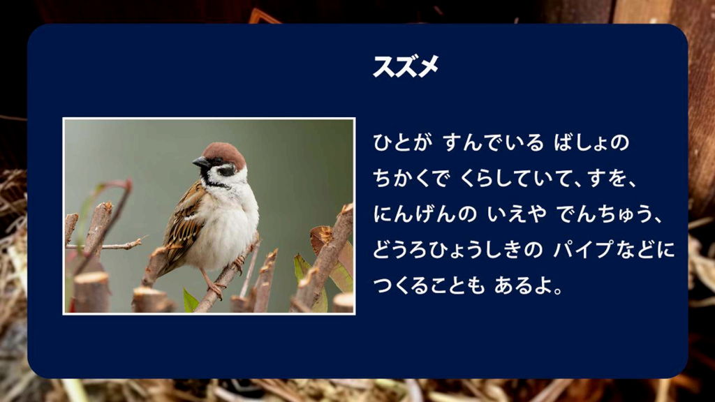 コンテンツ6