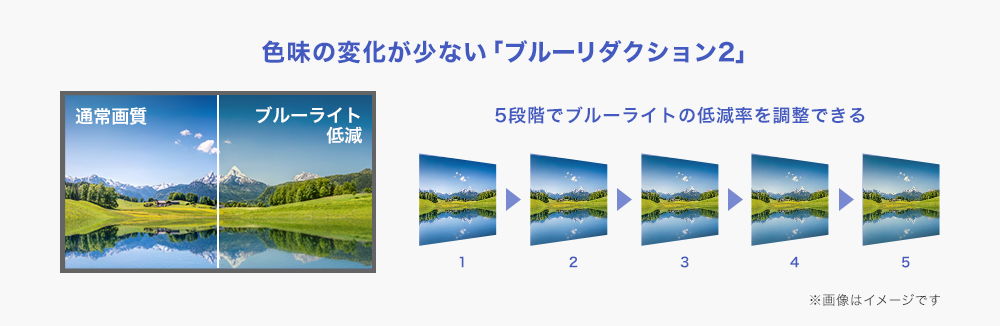 ブルーリダクション2