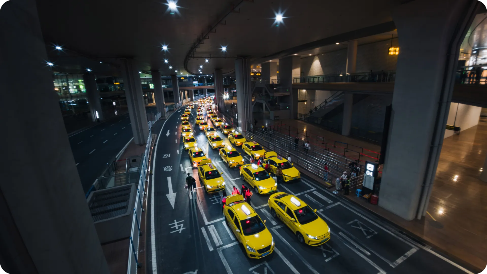 光が咲き誇る瞬間を捉える(1)