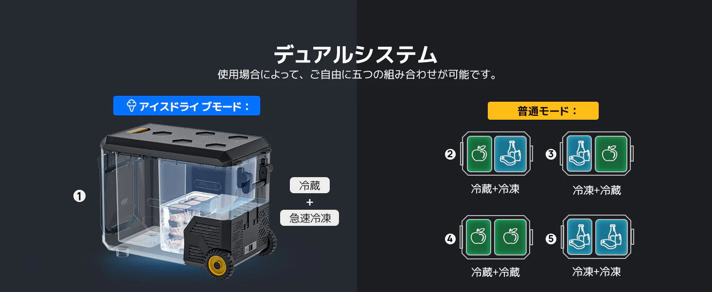 デュアルシステム