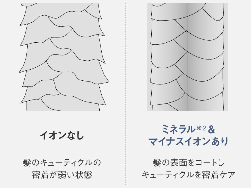 イオンありなし