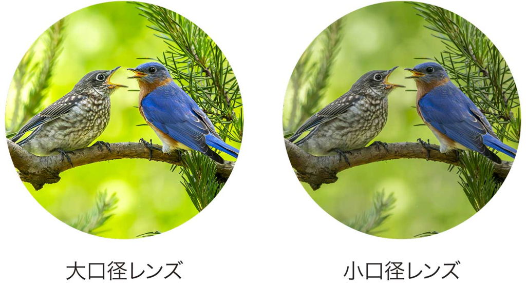 大口径対物レンズ