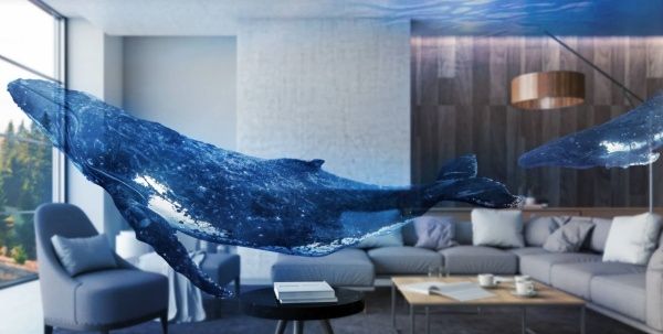  抜け目のないトラッキング