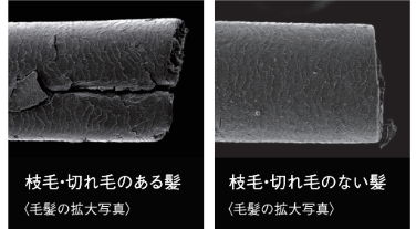 枝毛・切れ毛