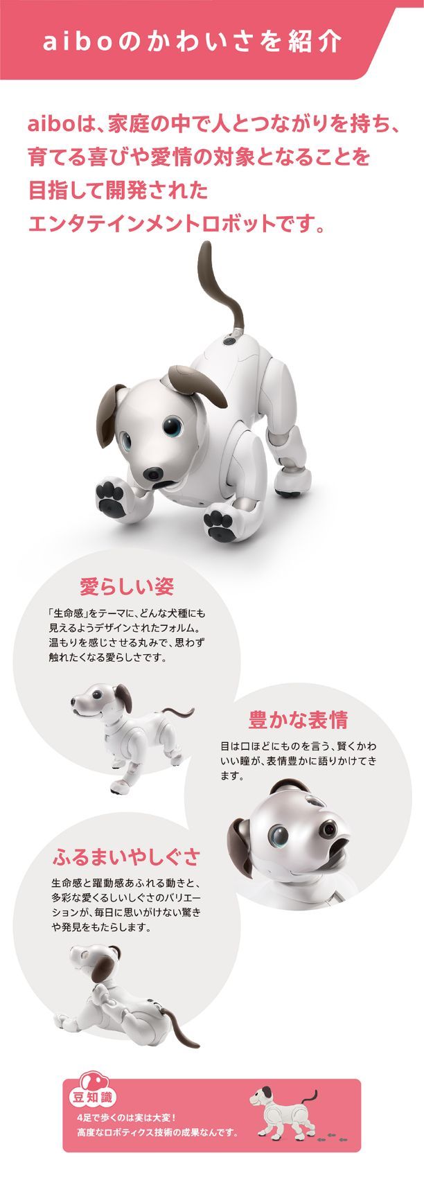 aiboのかわいさを紹介