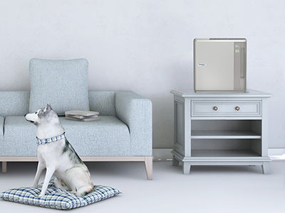 昼間はリビングに