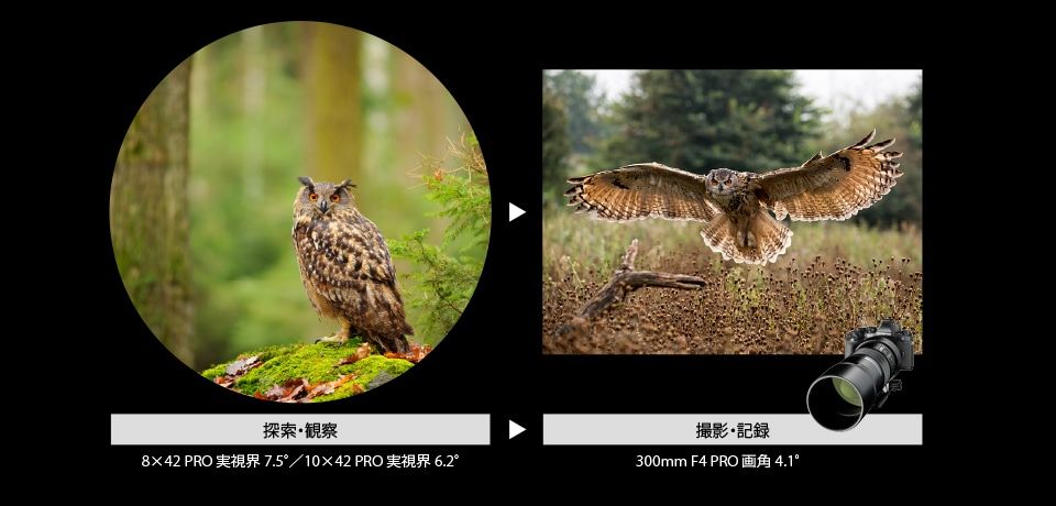 野鳥・自然観察に使いやすい設計
