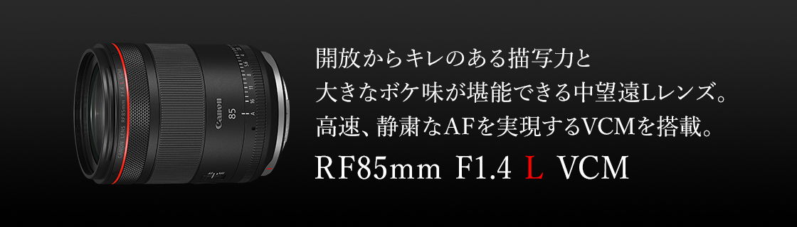 中望遠Lレンズ