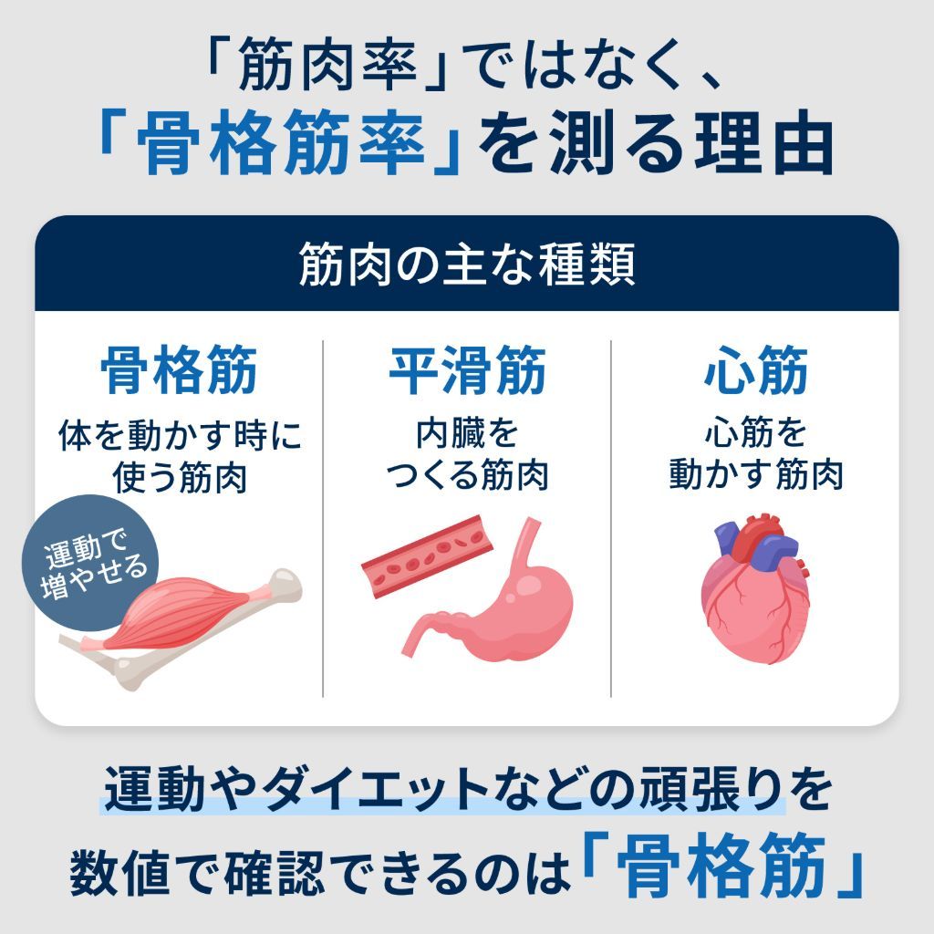 骨格筋率を測る理由