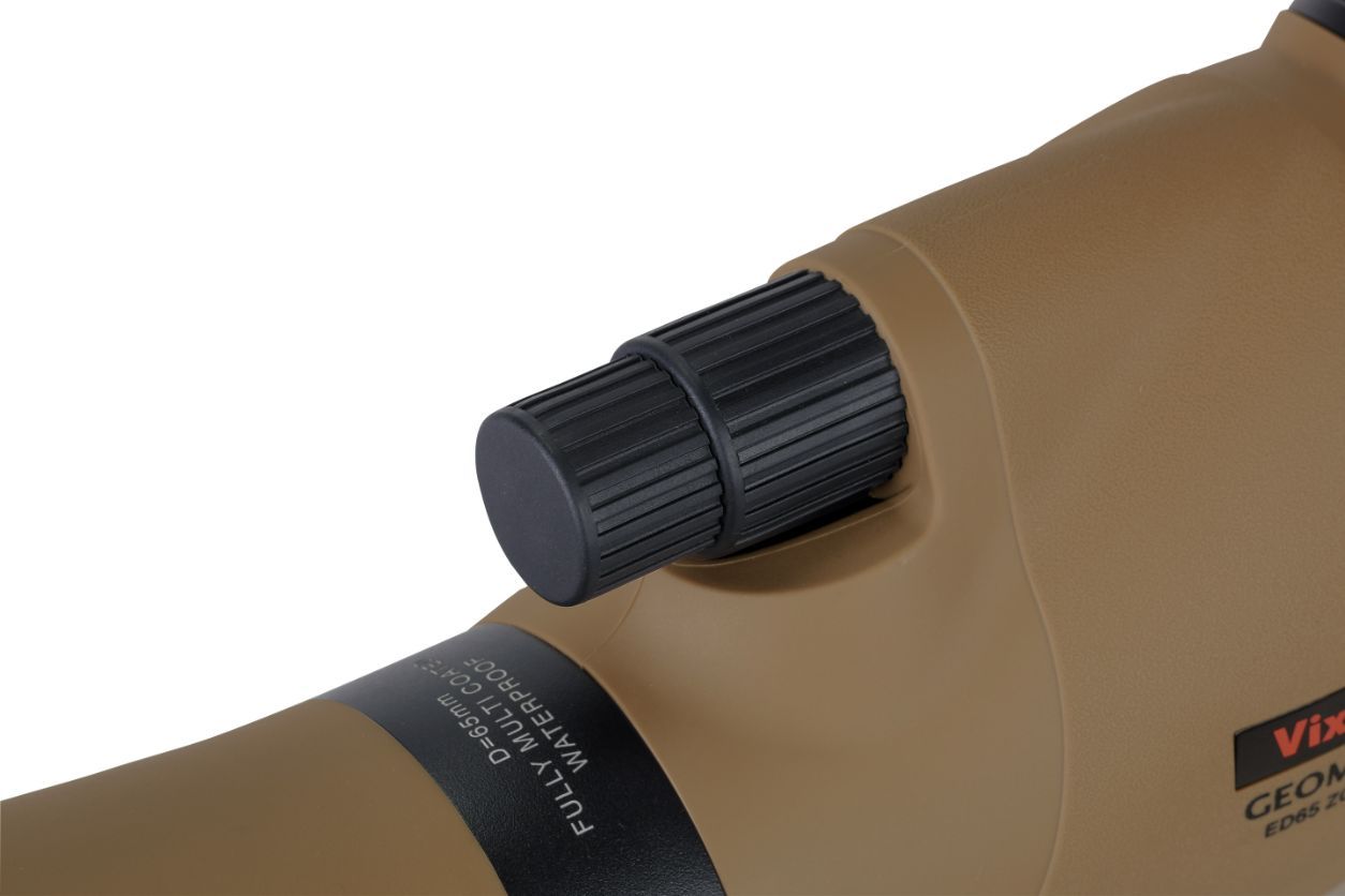 デュアルフォーカス